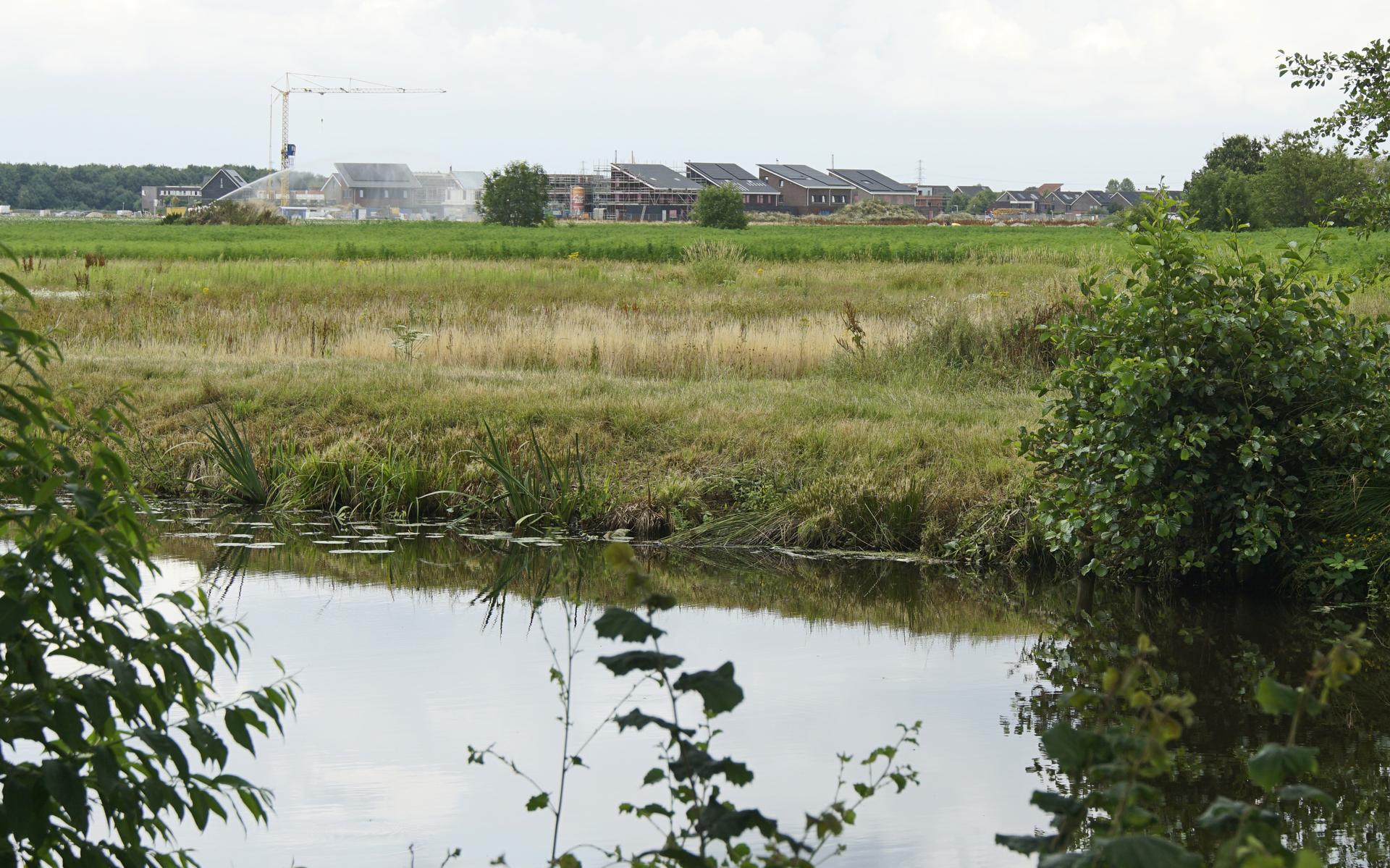 Assen wil 1000 extra woningen bouwen in wijk Kloosterveen. Plan ligt gevoelig bij natuurorganisaties