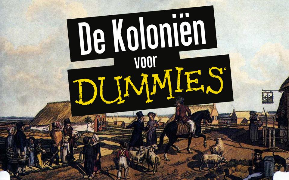 Een illustratie van kolonistenwoningen in Willemsoord. Foto: Maatschappij van Weldadigheid