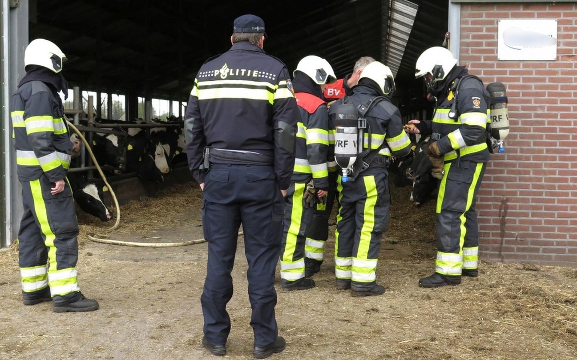Vuurbal schiet door stal in Ravenswoud - Nieuweooststellingwerver