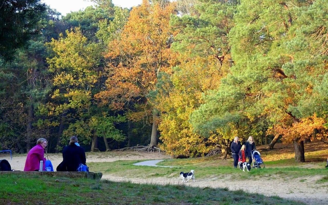 Veel mensen kwamen de afgelopen tijd naar het Drents-Friese Wold om dit moois te zien. Veel mensen kwamen de afgelopen tijd naar het Drents-Friese Wold om dit moois te zien.