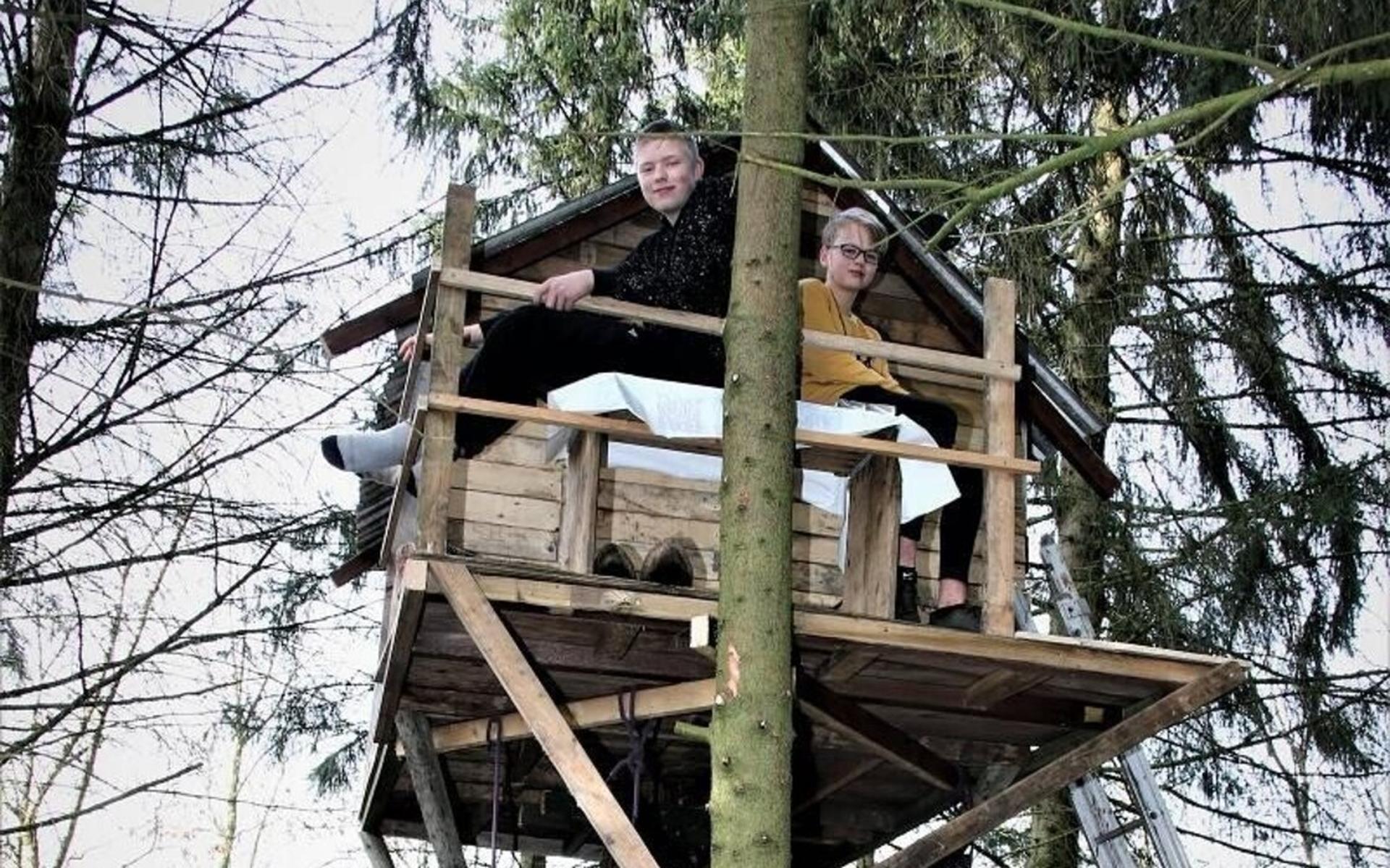 Vrienden bouwen boomhut ondanks tegenslag - Nieuweooststellingwerver