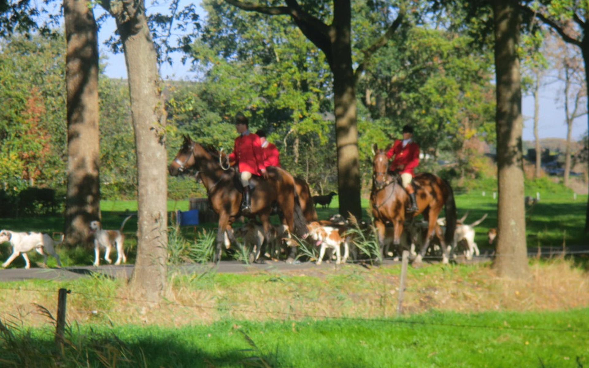 Honden jagen op slip tussen Zorgvlied en Elsloo