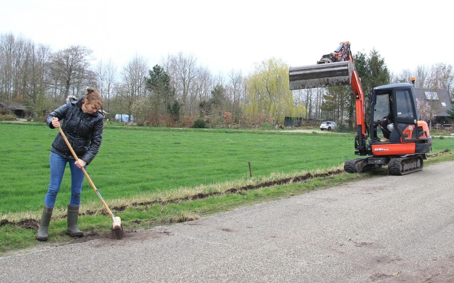 Berm Bokslootweg ingezaaid met inheems bloemenmengsel