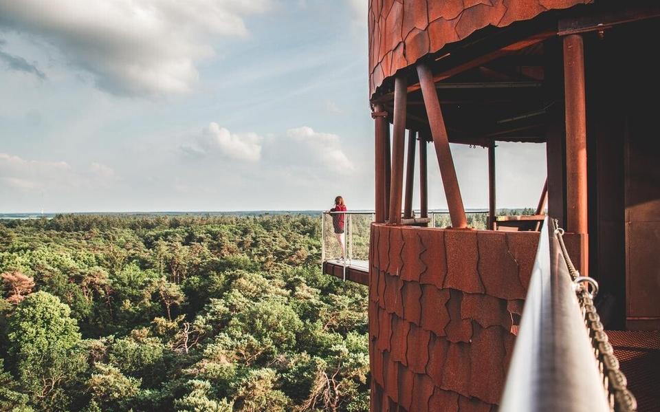 De Bosbergtoren in Appelscha.