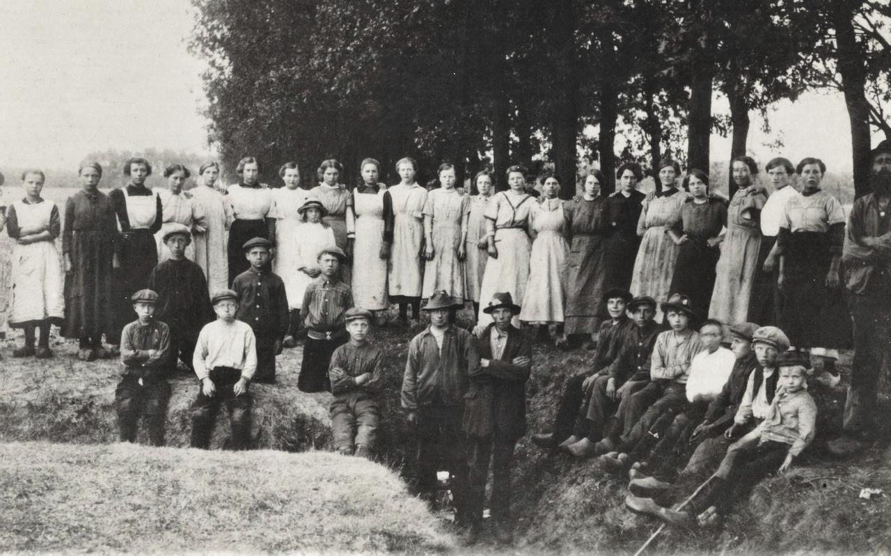 Kolonisten in het veld aan de Westvierdeparten bij Noordwolde. Kolonisten in het veld aan de Westvierdeparten bij Noordwolde.