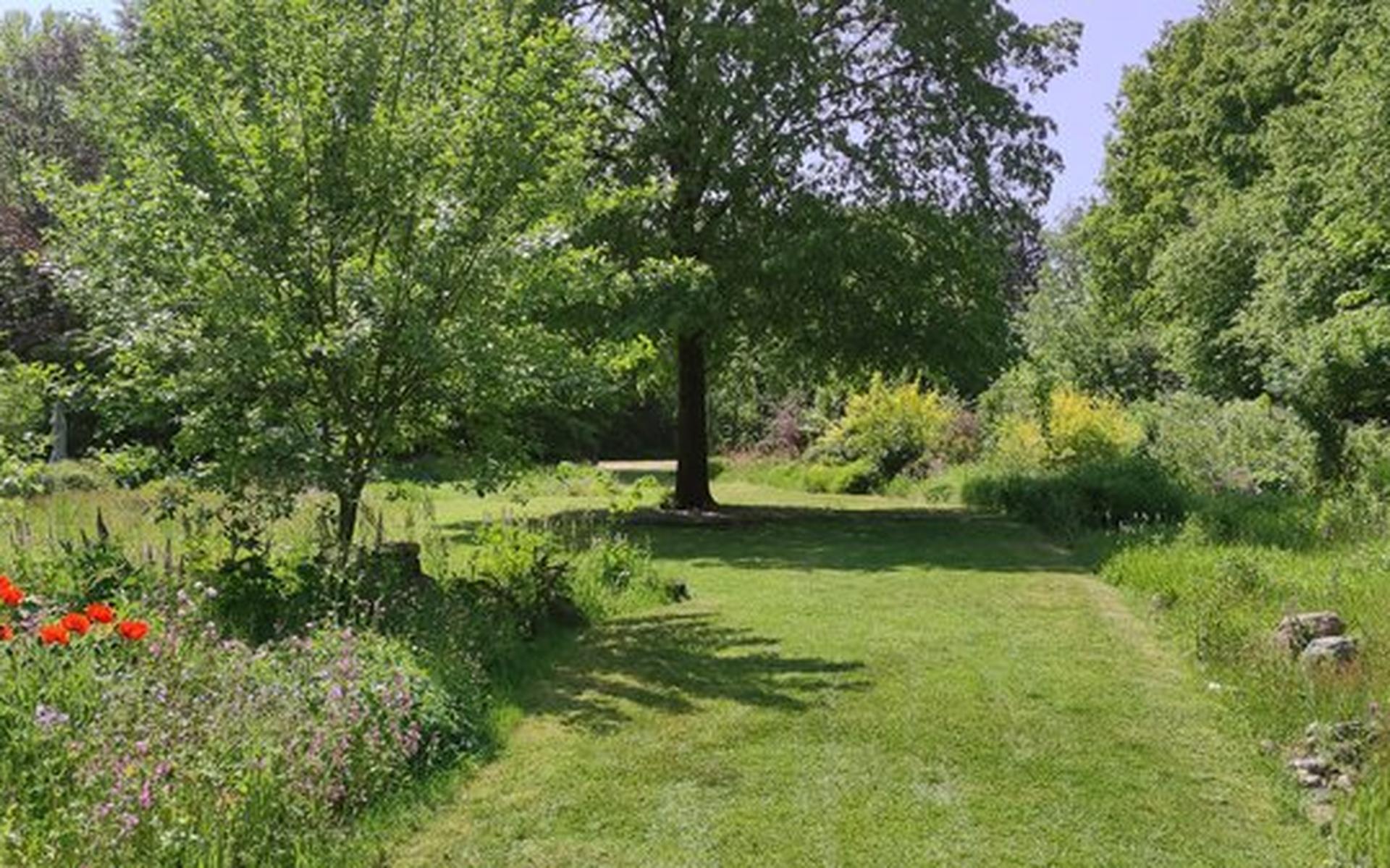 Ontwikkeling van Dorpstuin Haulerwijk kost meer tijd
