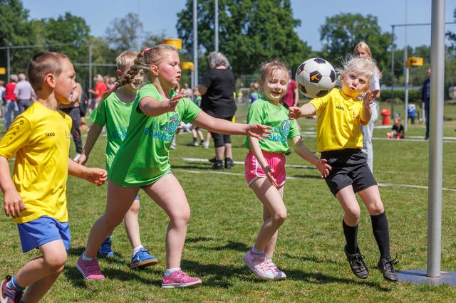 De Tjongeling uit Oldeberkoop grote winnaar op schoolkorfbaltoernooi in Oosterwolde