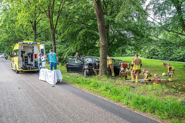 Vrouw (54) zwaargewond na botsing tegen boom in Elsloo