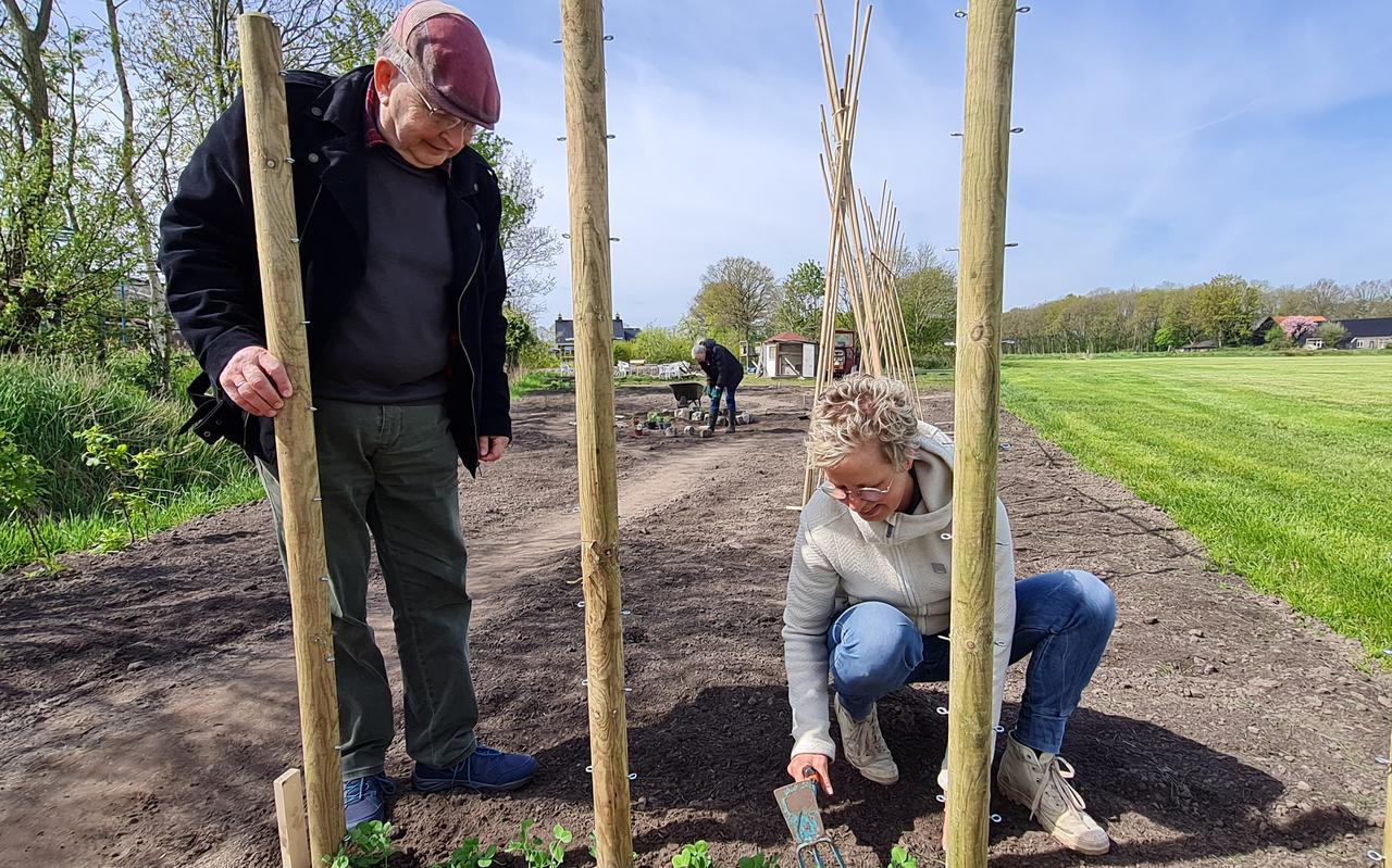 Jan van Gelderen, voorzitter van Plaatselijk Belang Appelscha en Carolien van der Sluis, de coördinator van de moestuin in de moestuin. Foto: Henk Vondeling Jan van Gelderen, voorzitter van Plaatselijk Belang Appelscha en Carolien van der Sluis, de coördinator van de moestuin in de moestuin. Foto: Henk Vondeling