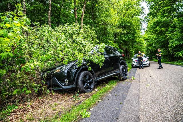 Automobilist rijdt tegen boom in Appelscha: ernstig gewond