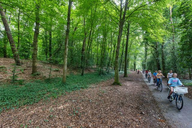 Impact van toerisme voor Ooststellingwerf: ‘Wordt steeds meer de economische levensader’