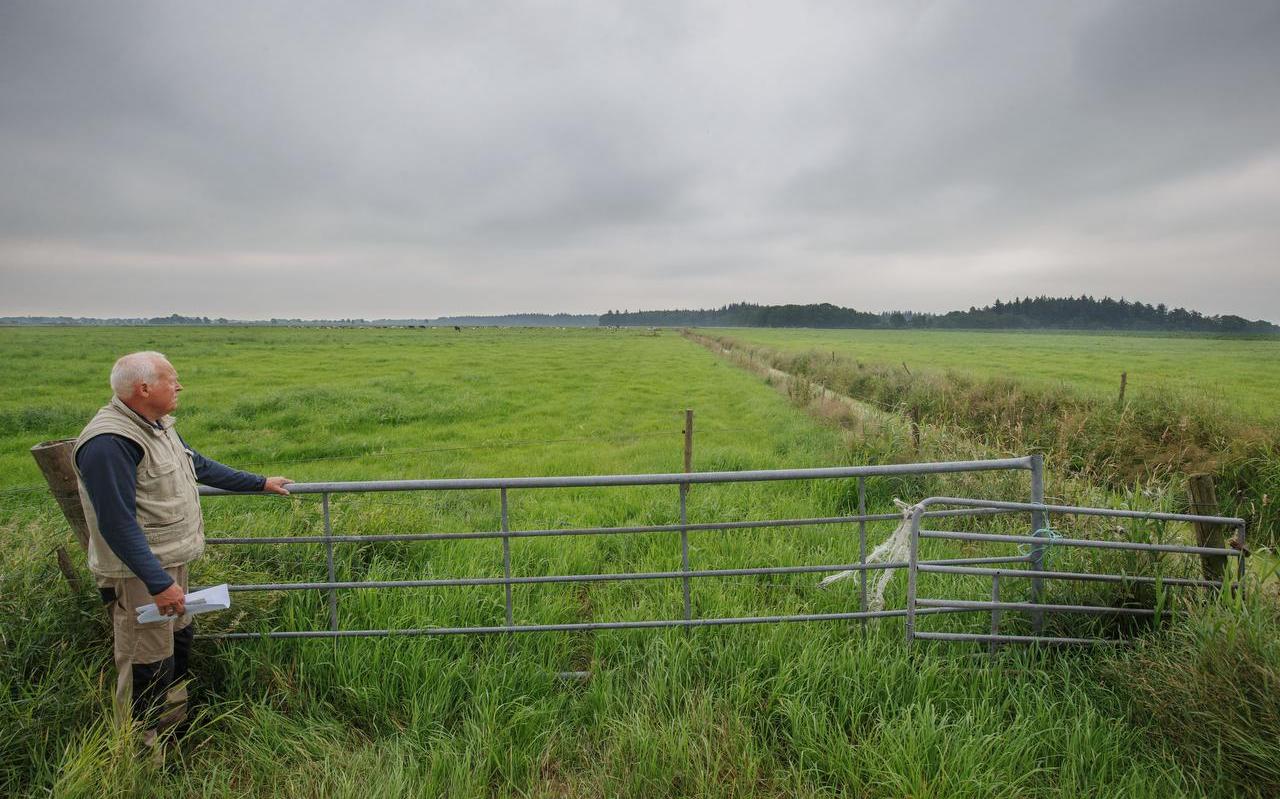 Mark Schaap kijkt naar waar het station is gepland. In de achtergrond ligt het Blauwe Bos. Mark Schaap kijkt naar waar het station is gepland. In de achtergrond ligt het Blauwe Bos.