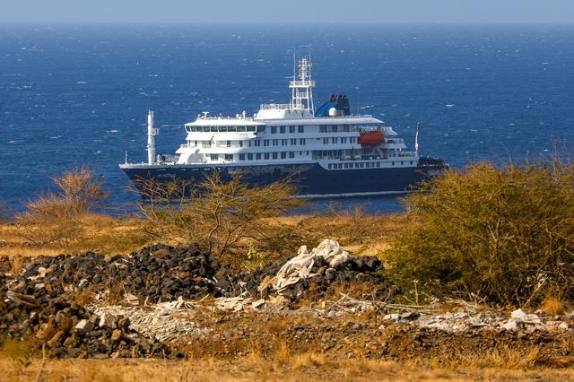 Dit is wat we nu weten over de uitbraak van het hantavirus op het cruiseschip Hondius, waaraan een e