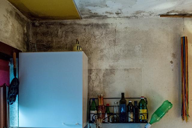 WoonFriesland en Actium: ‘Geen permanente problemen met schimmels in huurwoningen in Ooststellingwer