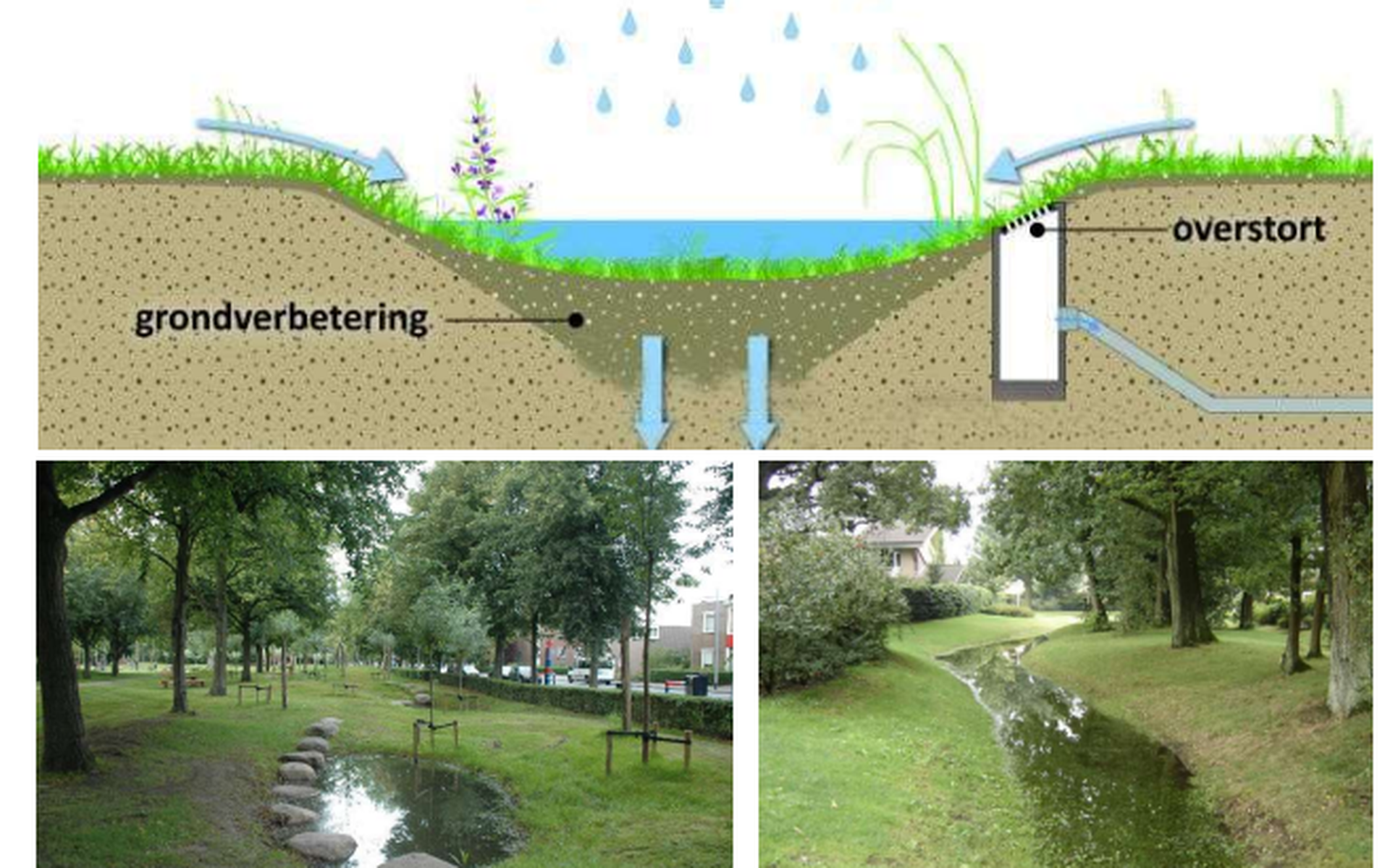 Wadi als laagte in het gras…..