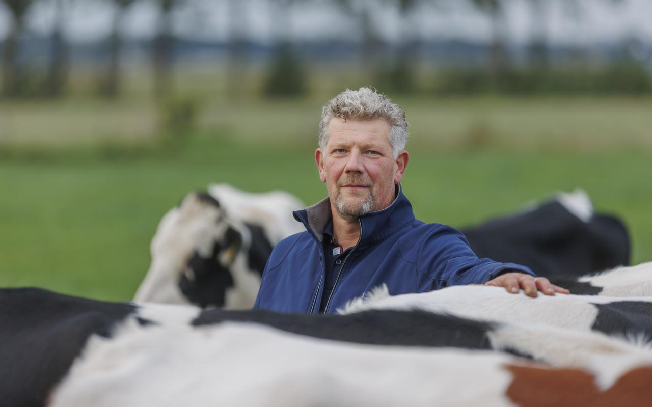 Boer Cees Pieter van Burgsteden met zijn koeien