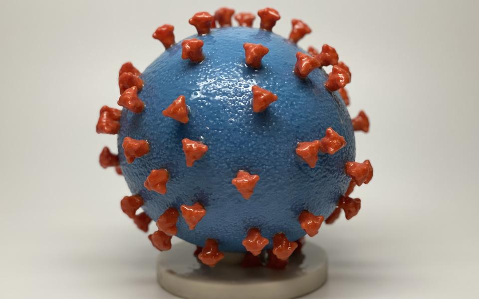 Het coronavirus. 