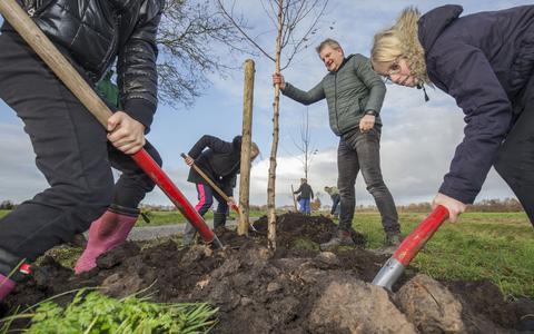 Kinderen planten bomen tussen Gorredijk en Terwispel bij een vorige Boomfeestdag.