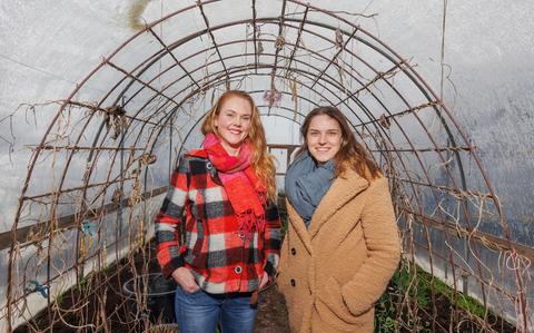 Hester van der Werff en Loraine Westerneng in de kas in Oosterwolde. Van der Werff teelt daar met haar stichting De Kleine Boerderij voedsel voor minima. Westerneng doet hetzelfde in Nieuwehorne.